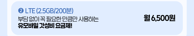 LTE (2.5GB/기본)